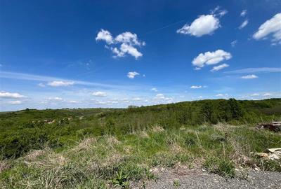 Teren Construcții extravilan de 8200 mp, în Central - 5