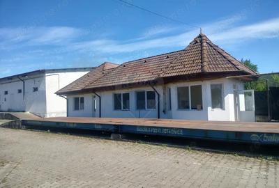 Spațiu comercial, de 2,500 mp, în Sângeorgiu de Pădure - 3