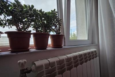 Apartament cu 2 camere semidecomandat, mobilat în Neptun - 8