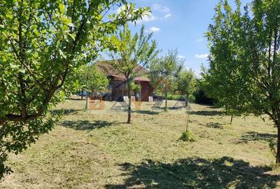 Casă cu 1 camere cu Teren 3000 Mp în Satulung - 2