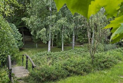 Domeniul Carpați - Vilă cu parc privat si panoramă montană ideal Airbnb/Booking - 6