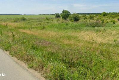 Spațiu comercial, în Corbeanca - 4