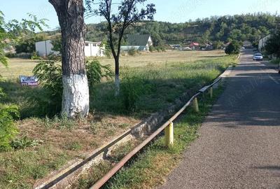 Teren de 3339 mp, în Berca - 3