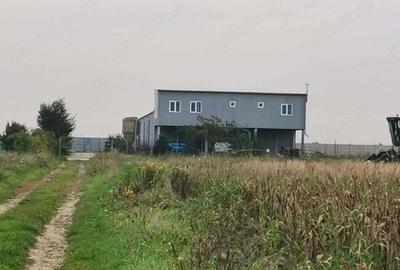 Exclusivitate Hala Padureni 400000 euro - 1