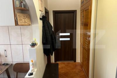 Apartament cu 2 camere, 47 mp, zona Terezian - 7