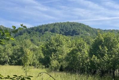 Teren Premium 1559 mp, Brebu Manastirei - Refugiu Montan la 120 km de Bucuresti,