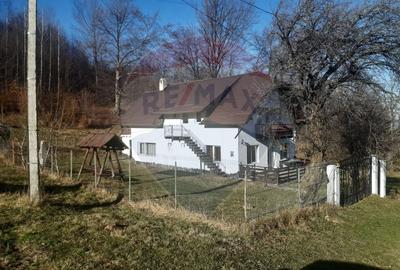 Casă individuală cu 7 camere cu Teren 3580 Mp în Tohănița - 41