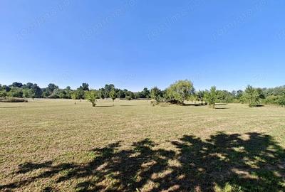 De vanzare: Teren 12.600 mp Ghiroda - Comision 0% - 5