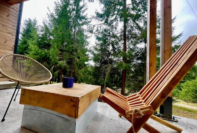 Cabana de vanzare, langa Partia Marisel, comision 0% Cabana de vanzare, langa Partia Marisel, comision 0% - 10