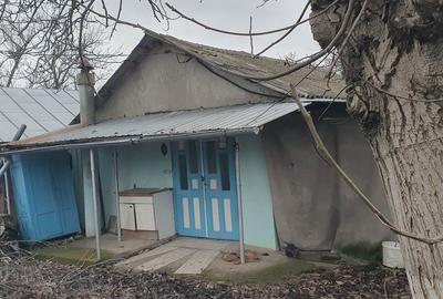 Casă cu 2 camere cu Teren 450 Mp în Chiscani - 4