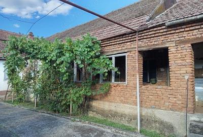Casă cu Teren 842 Mp în Naidăș - 8