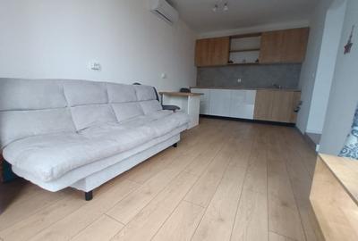 Casă individuală cu 2 camere cu Teren 1000 Mp în Săldăbagiu de Munte - 10