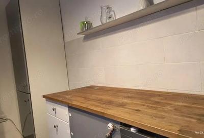 Apartament 3 camere cu gradina, centrala, parcare, vila, pet friendly - 4