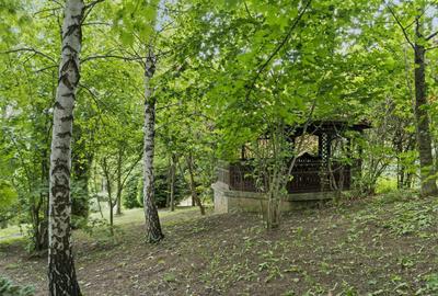 Domeniul Carpați - Vilă cu parc privat si panoramă montană ideal Airbnb/Booking - 27