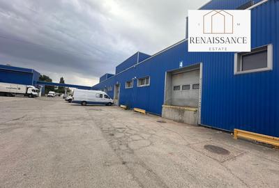 3 Hale Clasa A | 11.250mp Construiti 25.450mp Teren | Freidorf - 4