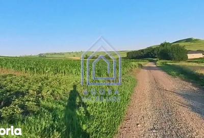 Teren de 7400 mp, în Moara - 3