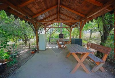 Casa de vanzare cu 1800 mp teren, Paleu - 19