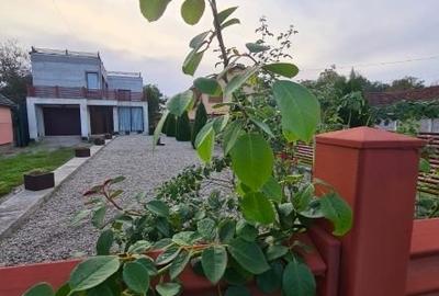 Casa noua P+1 curte si teren zona Streisangeorgiu - 10