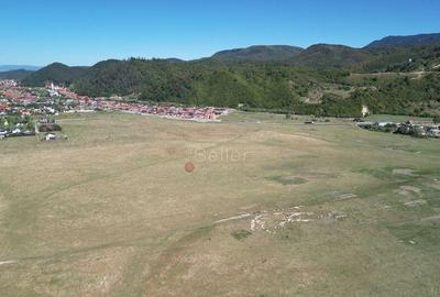 Teren extravilan Rasnov - 13