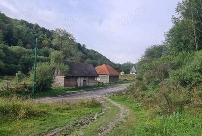 Vand proprietate pe Transapuseana - 3