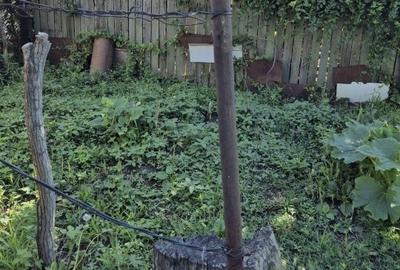 Casă cu 3 camere în Cerțești - 5