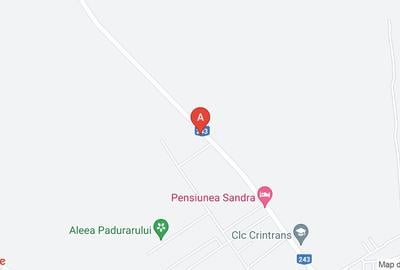 Vanzare teren intravilan 29.000 mp - 1