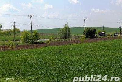 Teren de 45000 mp, în Central - 1
