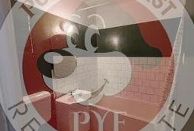 Crangasi | Apartament 2 Camere | Semidecomandat | 48mp | B11480 Crangasi | Apartament 2 Camere | Semidecomandat | 48mp | B11480 - 7