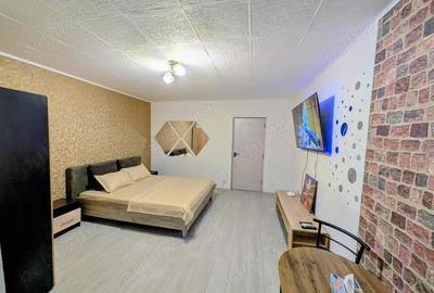 Garsonieră decomandată în Brazda lui Novac - 4