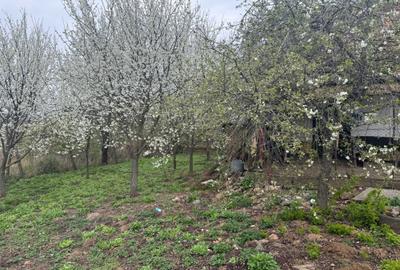Casă cu 3 camere în Crestur - 1