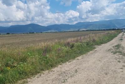 Teren intravilan 480mp,cu autorizatie de constructie,  spre vanzare in Cristian - 1