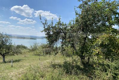 Teren de 3800 mp, în Recea - 2