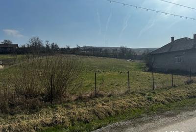 Casă cu 2 camere în Jichișu de Jos - 6