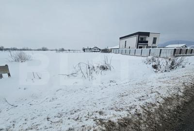 Teren extravilan 16 arii Jelna - 2