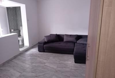 Apartament cu 2 camere semidecomandat în Central - 3