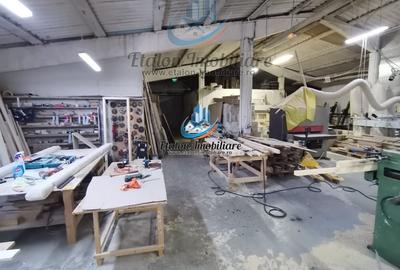 Hala 755 mp, teren 2000 mp, Girov, Judet Neamt - 2