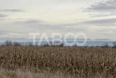 Teren de 3611 mp, în Cristian - 1