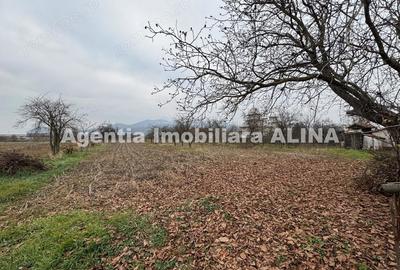 Casă cu 4 camere în Șoimuș - 12