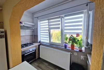 Apartament 2 camere, 52 mp, strada Paltinisului - 8