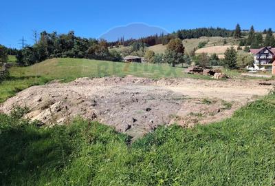 Teren Construcții intravilan de 2421 mp, în Periferie - 15