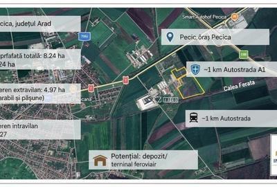 Teren agricol extravilan de 82400 mp, în Nord-Vest - 1