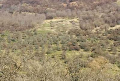 Spațiu comercial, în Central - 1