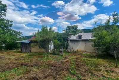 Teren Intravilan de vanzare 3551mp Poiana Copaceni Com Gura Vitioarei - 8