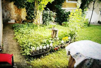 De vanzare casa in Buzad- 709 De vanzare casa in Buzad- 709 - 17