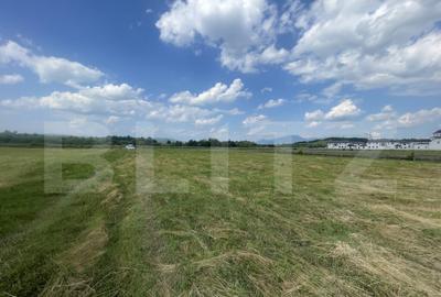 Teren extravilan 1200 mp Dorolea, aproape de Manastire - 2