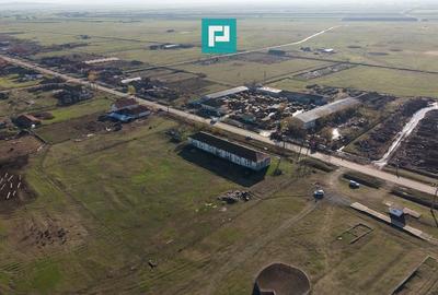 Hală industrială cu teren generos în Zărand, Arad - 40