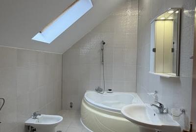 Vila  de inchiriat – Iancu Nicolae, Baneasa - 10