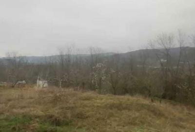 Casă cu 2 camere în Tisău - 1