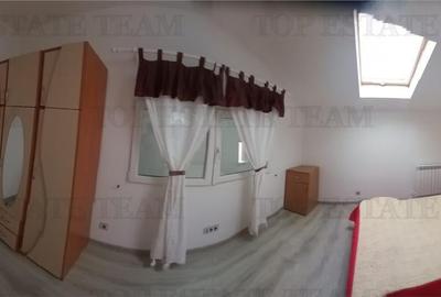 VILA CU PISCINA COSTINESTI - 10