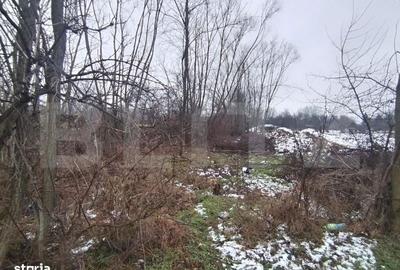 Spațiu comercial, în Priseaca - 4